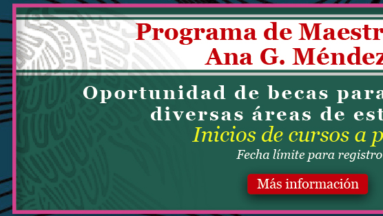 Programa de Maestría en la Universidad Ana G. Méndez -UAGM- OEA (Ms informacin)